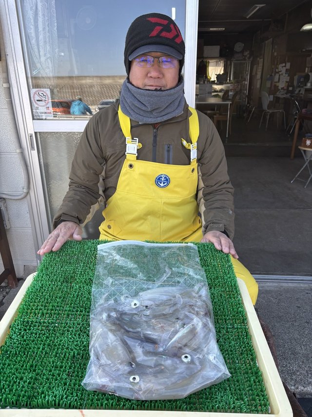 マルイカ(ケンサキイカ)