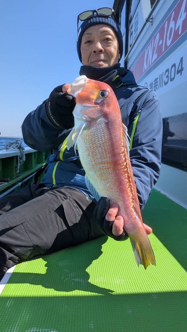 アマダイ(アカアマダイ)