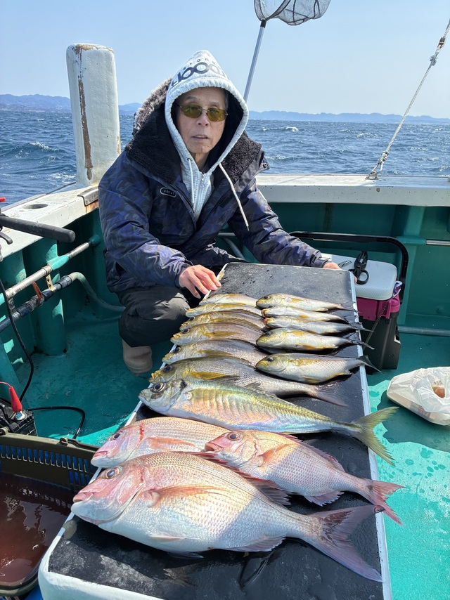 マダイ・チダイ・マアジ・イサギ(イサキ)