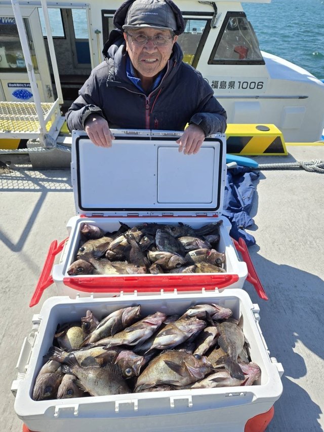 メバル(ウスメバル)