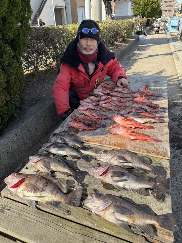 ガシラ(カサゴ)・メバル