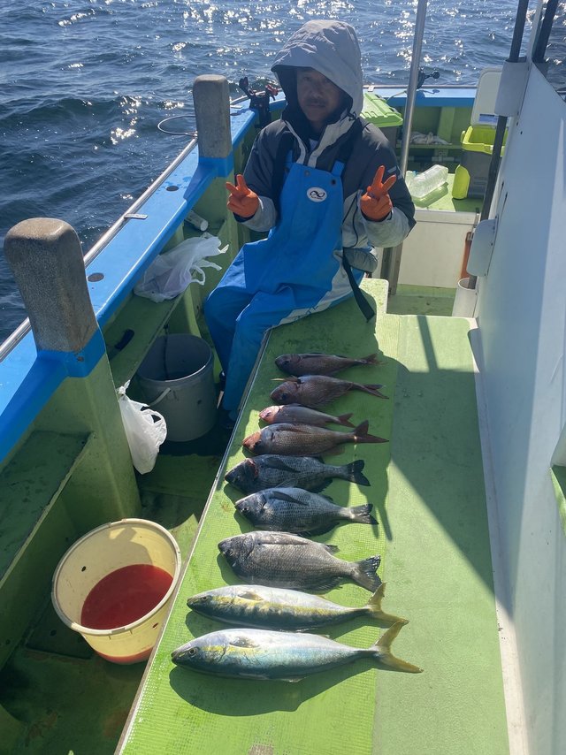 マダイ・クロダイ・イナダ(ブリ)