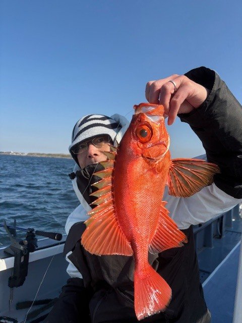 キントキ(チカメキントキ)