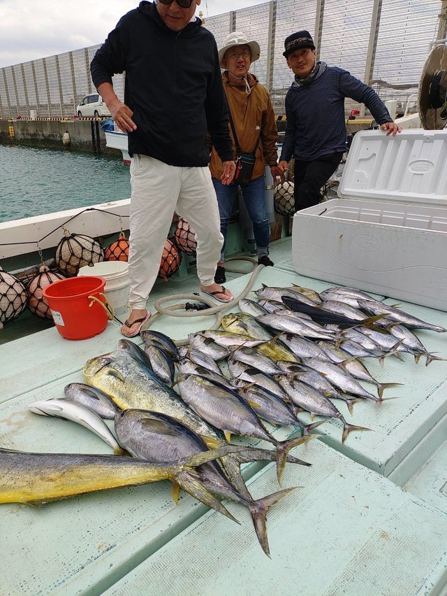 シイラ・メバチマグロ(メバチ)・キメジ(キハダ)