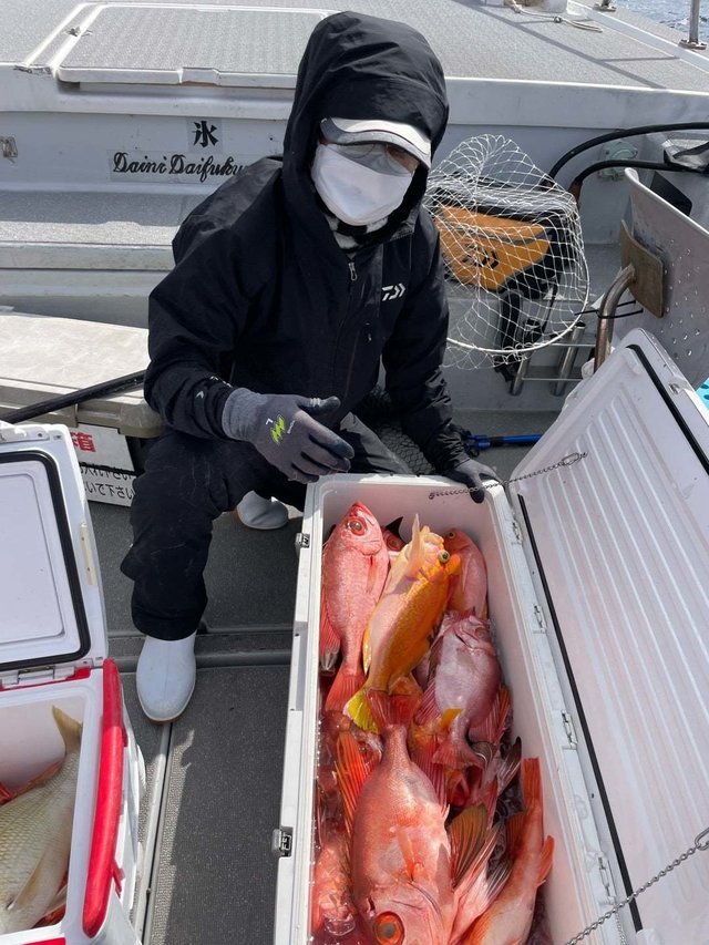 アカイサキ・チカメキントキ