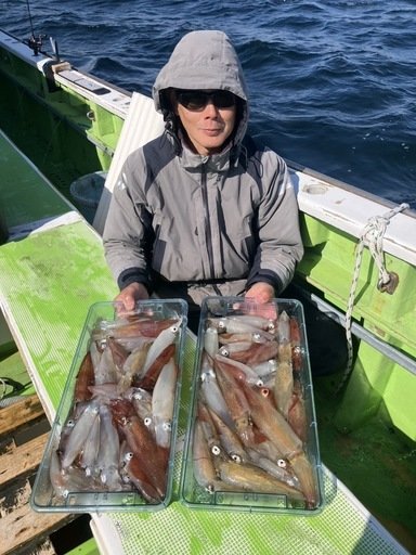 マルイカ(ケンサキイカ)