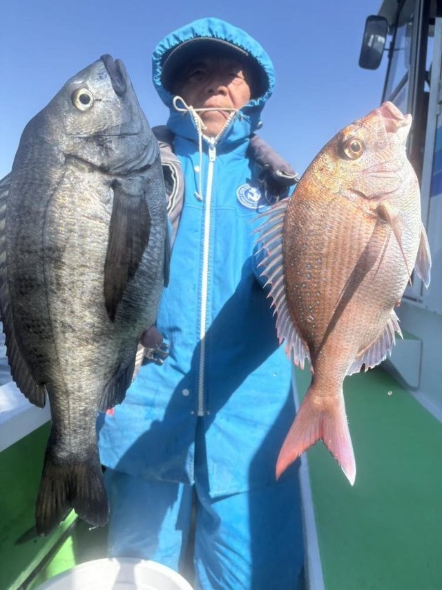 マダイ・クロダイ