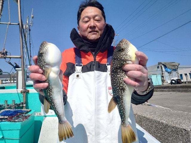 ショウサイフグ