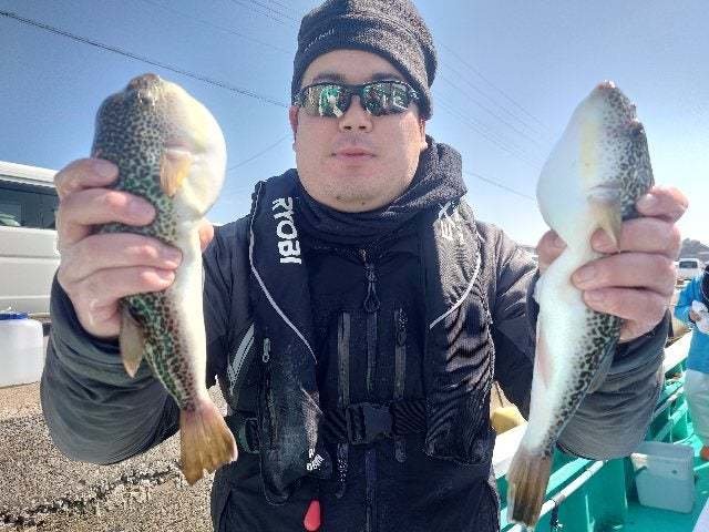 ショウサイフグ