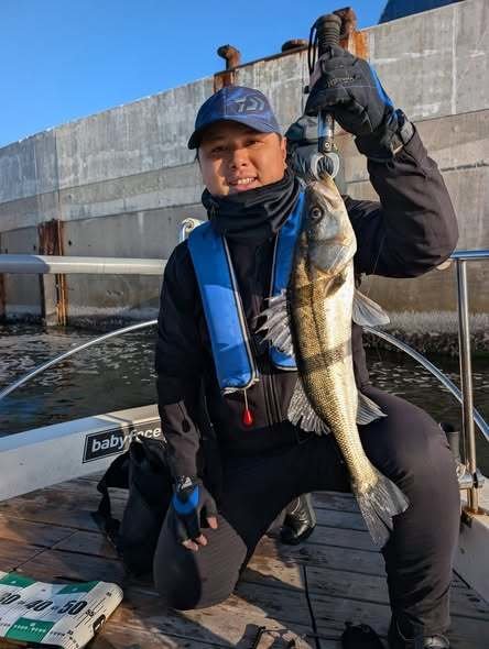 シーバス(スズキ)