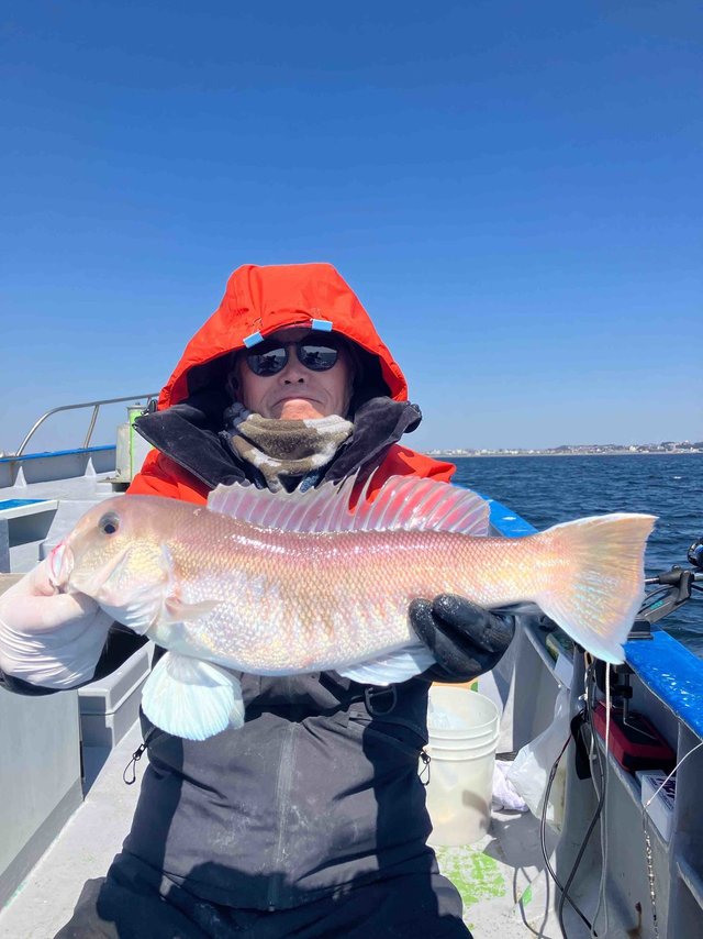 アマダイ(アカアマダイ)