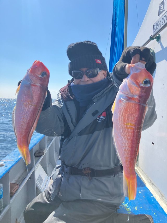 アマダイ(アカアマダイ)