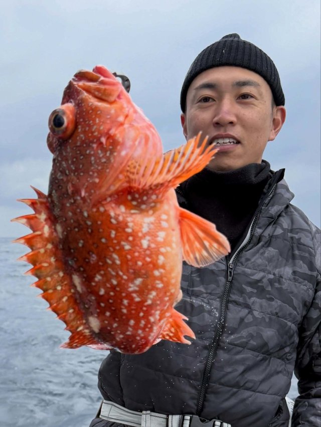 ウッカリカサゴ