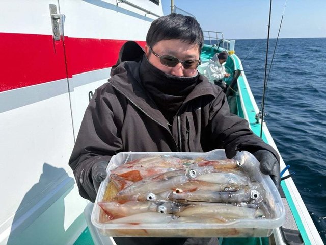 マルイカ(ケンサキイカ)