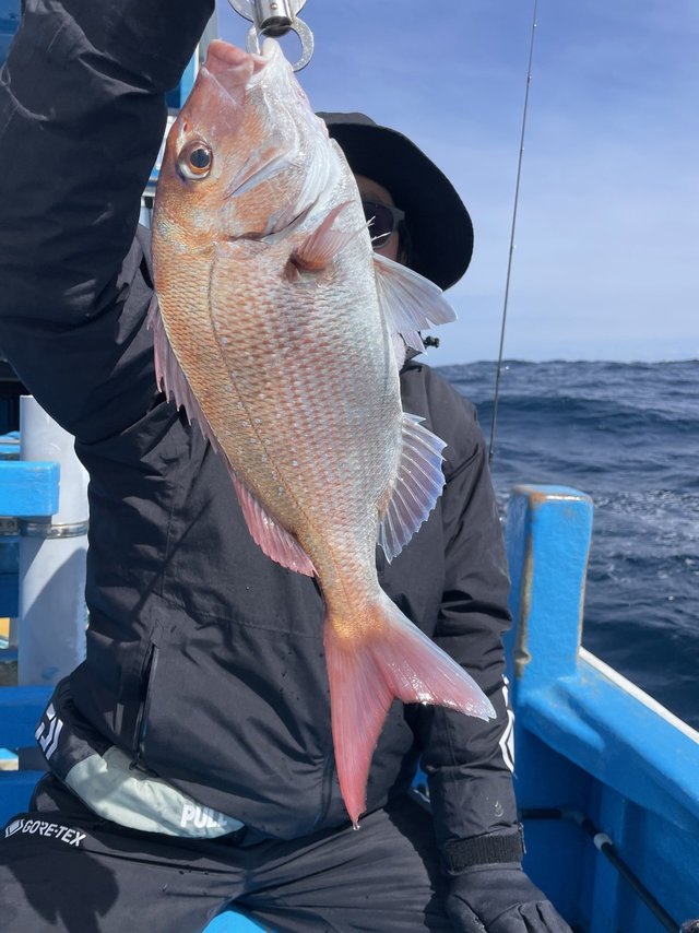 アマダイ(アカアマダイ)