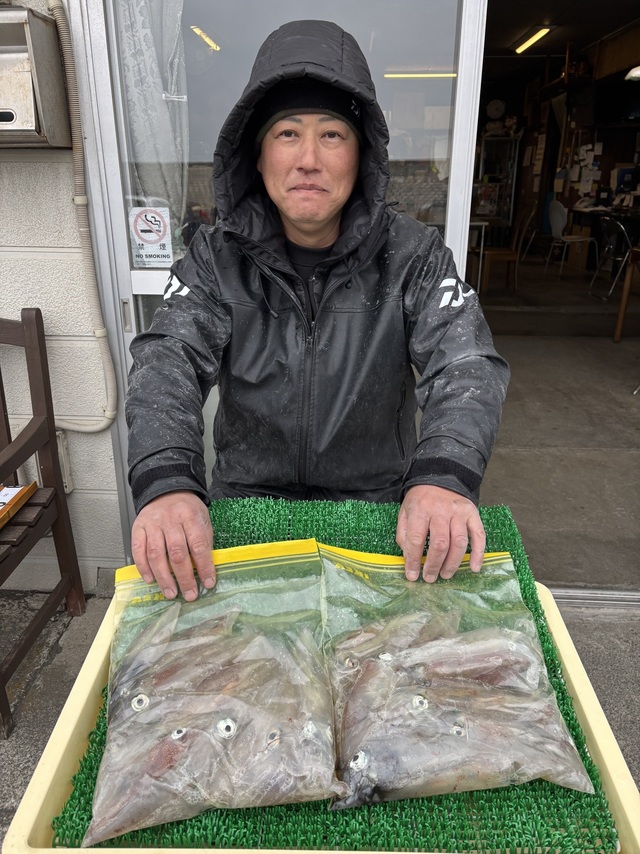 マルイカ(ケンサキイカ)