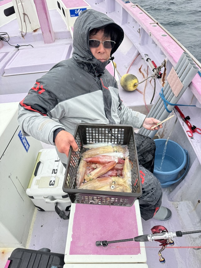 マルイカ(ケンサキイカ)