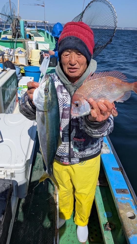 マダイ・イナダ(ブリ)