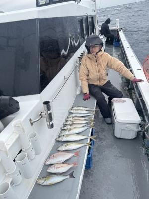 マダイ・マアジ・イサキ