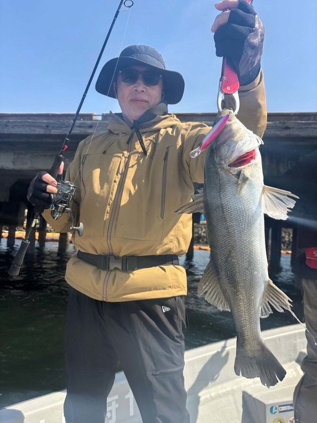 シーバス(スズキ)