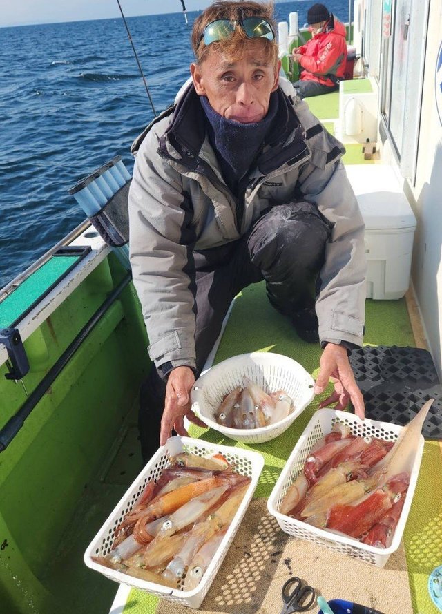 マルイカ(ケンサキイカ)