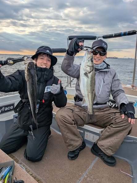 シーバス(スズキ)