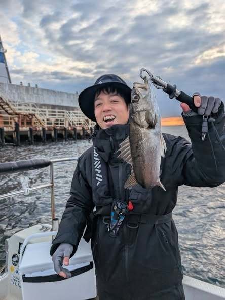 シーバス(スズキ)