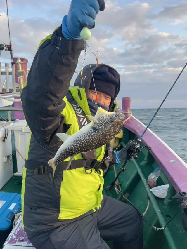 フグ(ショウサイフグ)