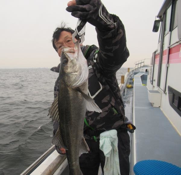 シーバス(スズキ)