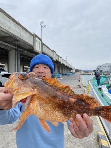 ウッカリカサゴ