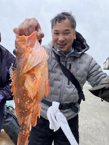 ウッカリカサゴ