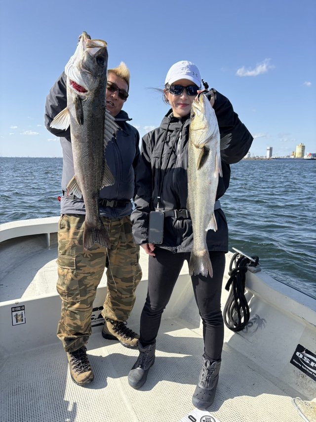 シーバス(スズキ)