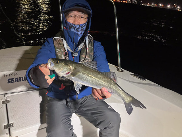 シーバス(スズキ)