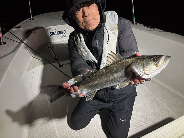 シーバス(スズキ)