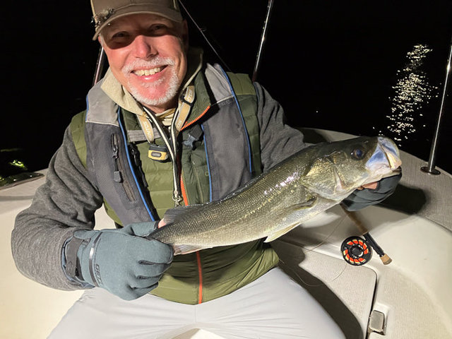 シーバス(スズキ)