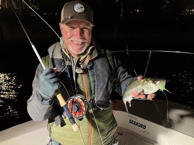 シーバス(スズキ)