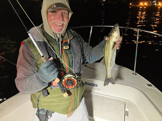 シーバス(スズキ)