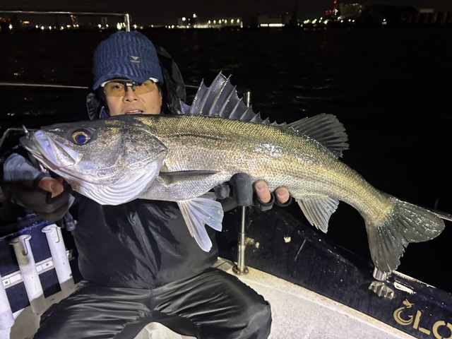 シーバス(スズキ)