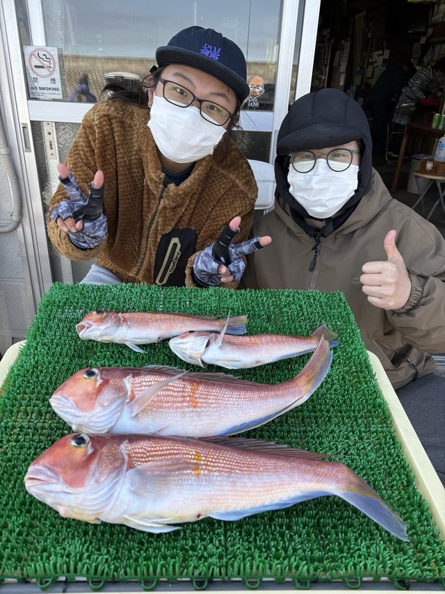 アマダイ(アカアマダイ)