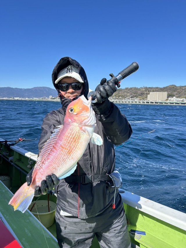 アマダイ(アカアマダイ)