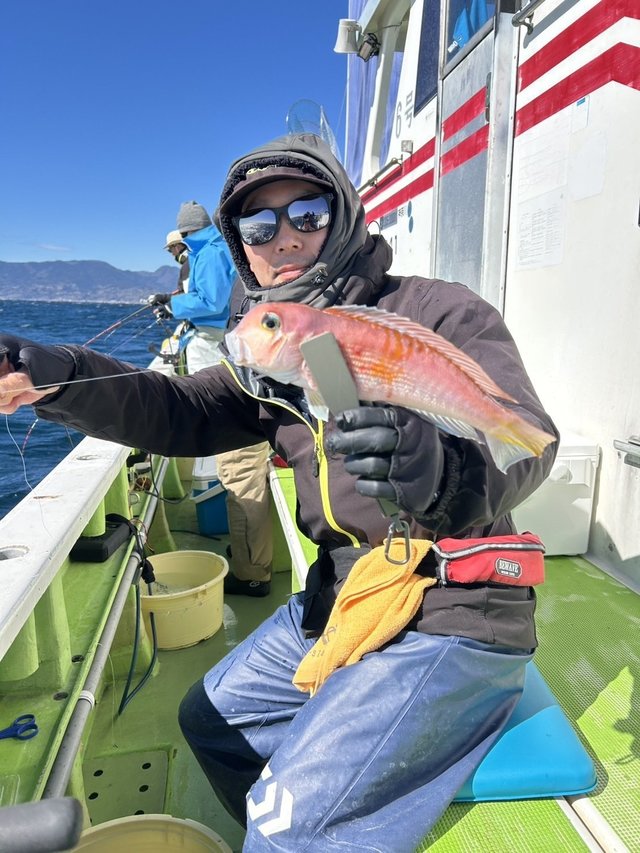 アマダイ(アカアマダイ)