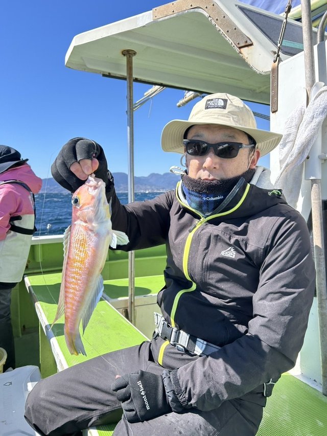 アマダイ(アカアマダイ)