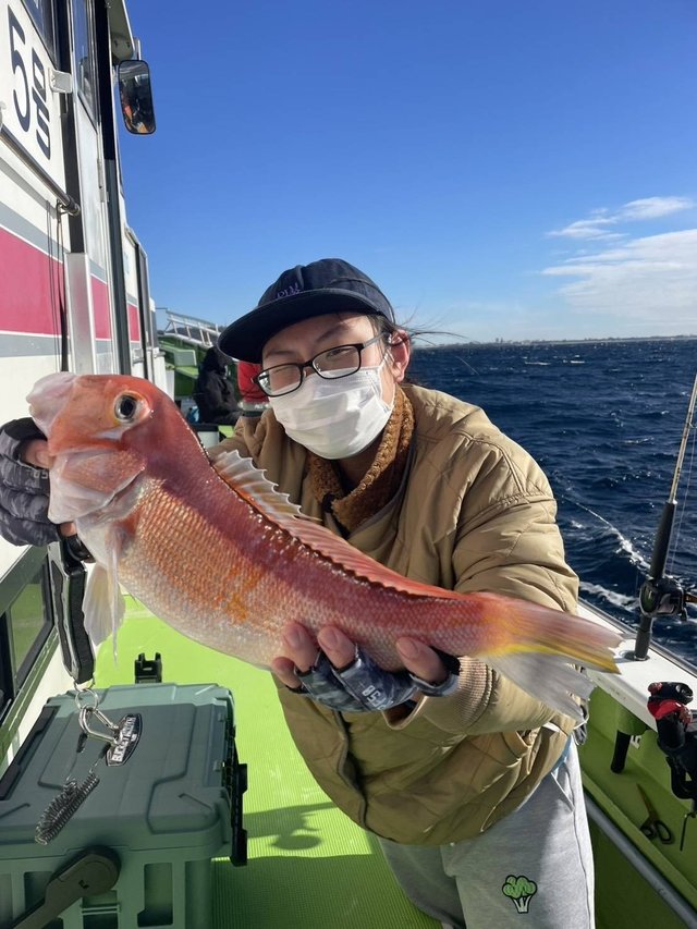 アマダイ(アカアマダイ)