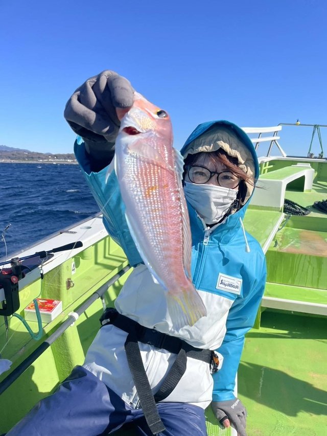 アマダイ(アカアマダイ)