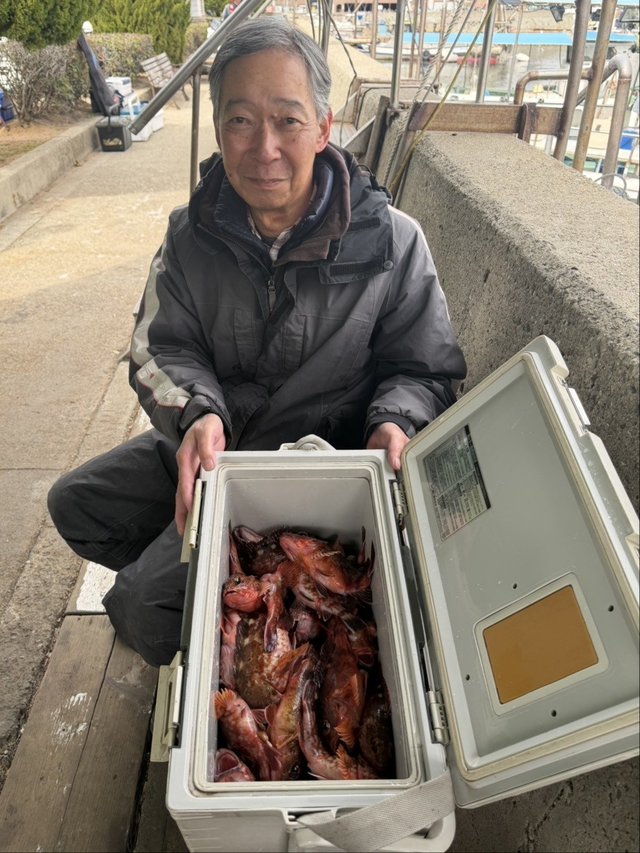 ガシラ(カサゴ)