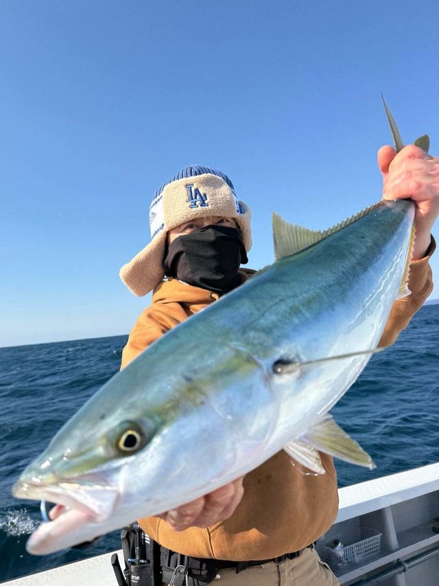 サンパク(ブリ)