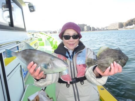 カワハギ・ウマヅラ(ウマヅラハギ)