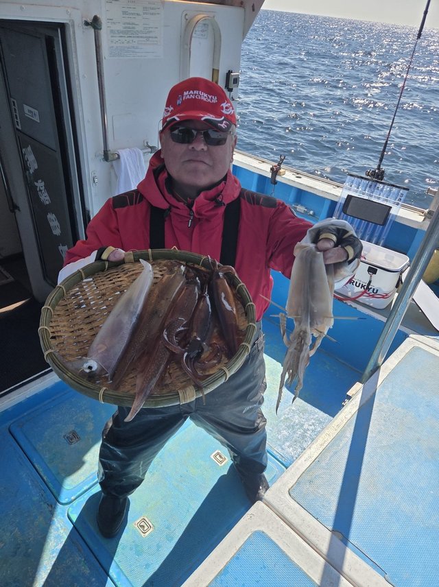 イカ(ヤリイカ)