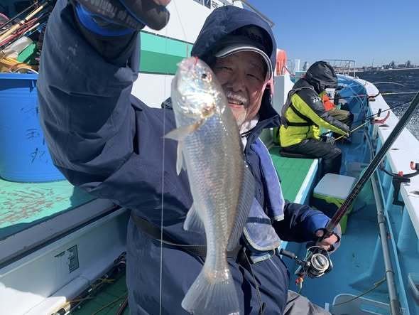 イシモチ(シログチ)