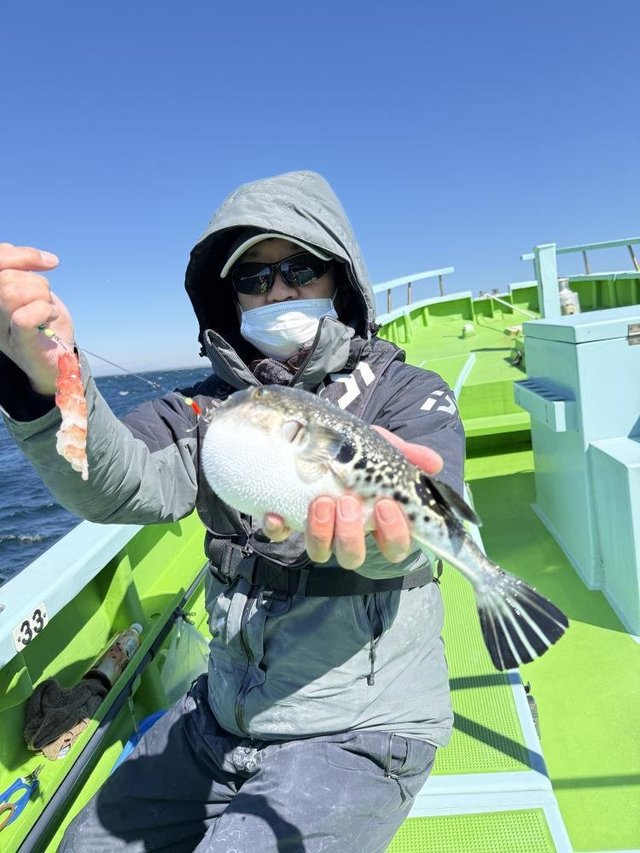 フグ(トラフグ)